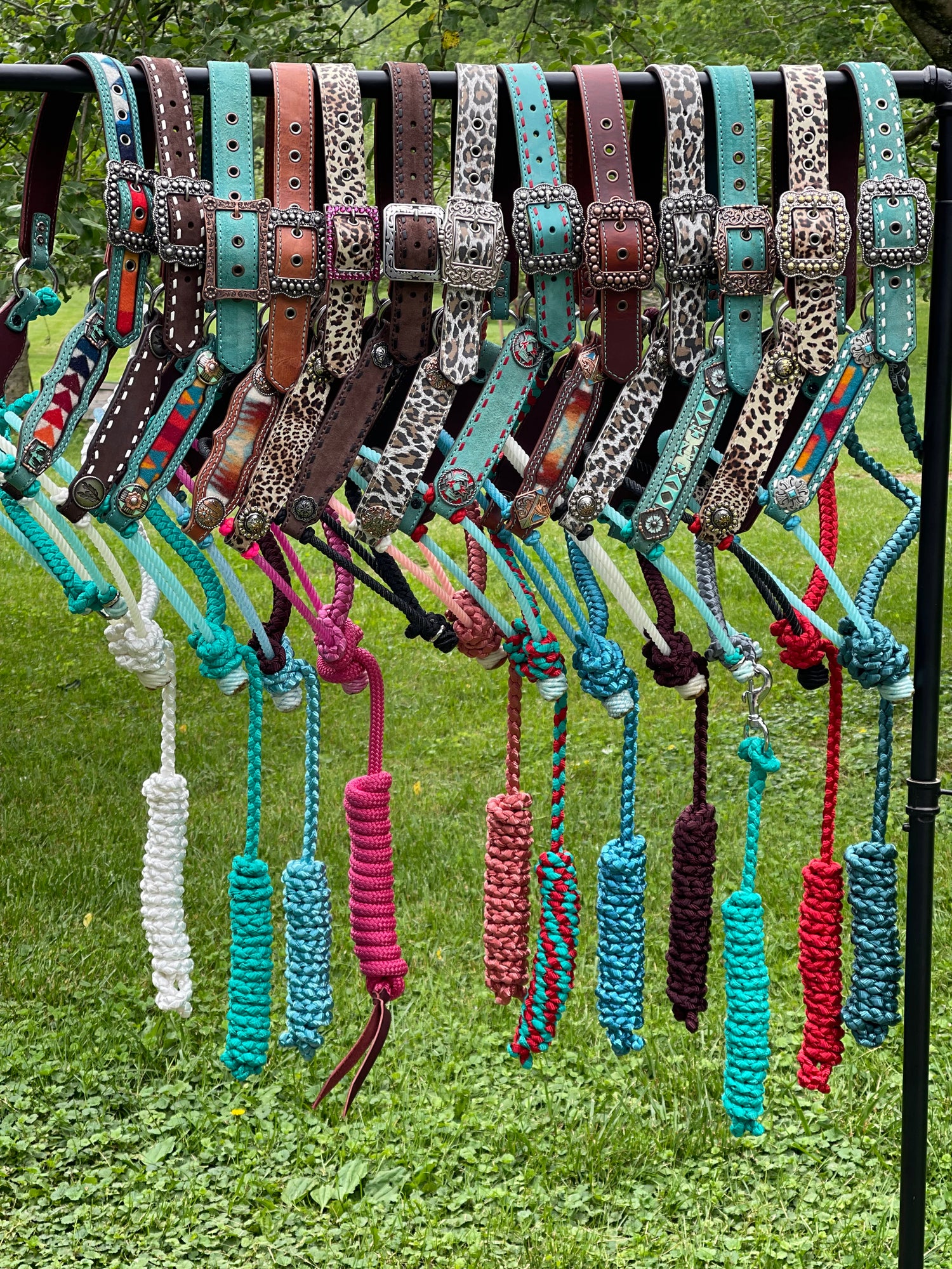 Horse Tack