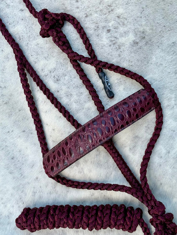 Muletape Halter & Lead w/lthr Noseband