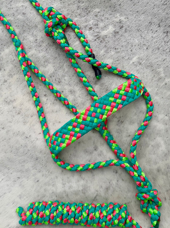 Mule Tape Halter & Lead