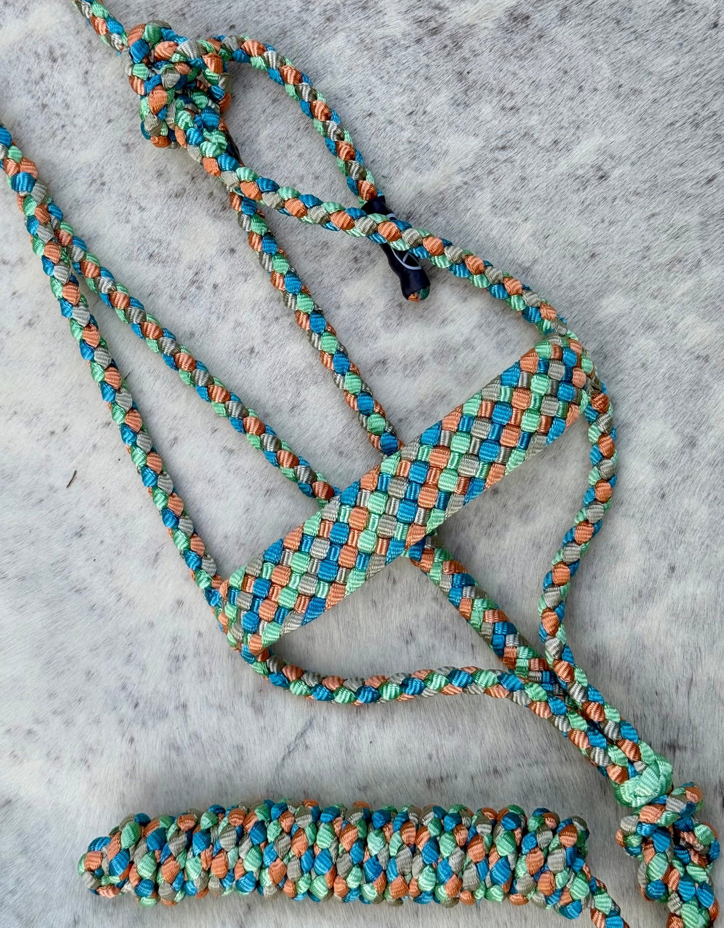 Mule Tape Halter & Lead