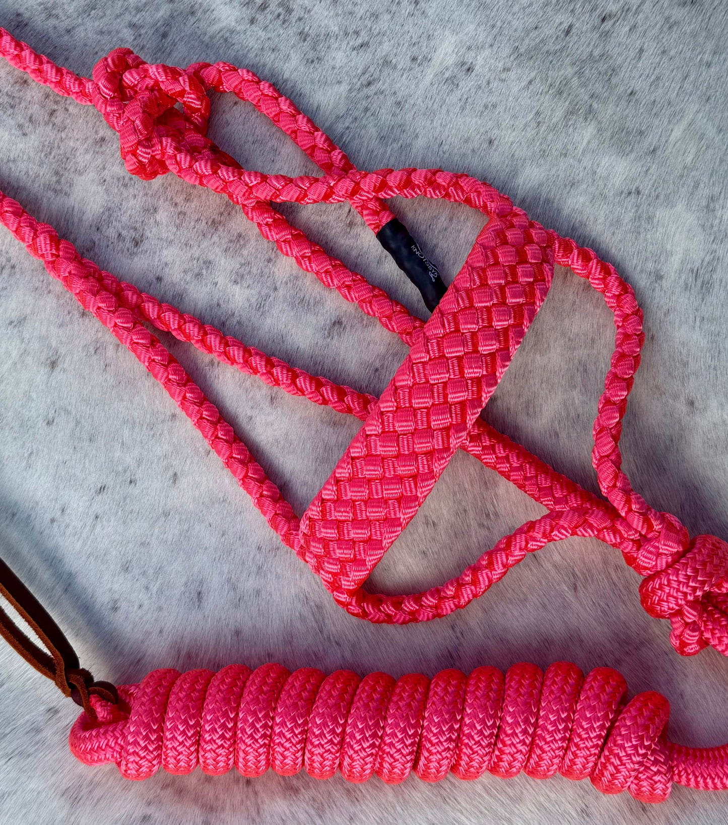 PONY Mule Tape Halter & Yacht Lead