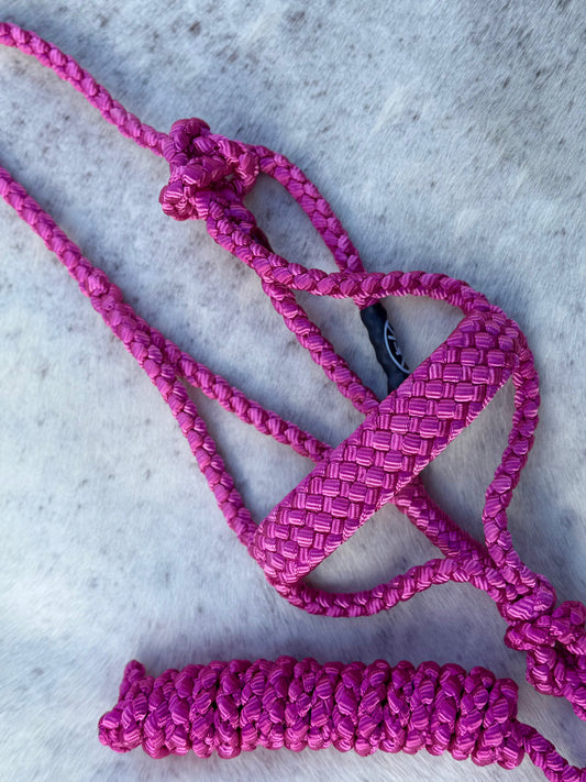 PONY Mule Tape Halter & Lead